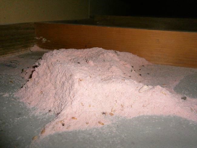 害獣忌避剤に生息している粉虫
