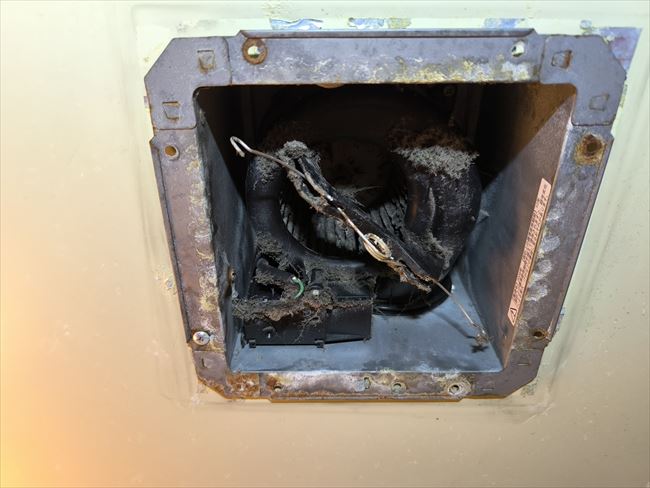 浴室換気扇ファン回りのホコリ